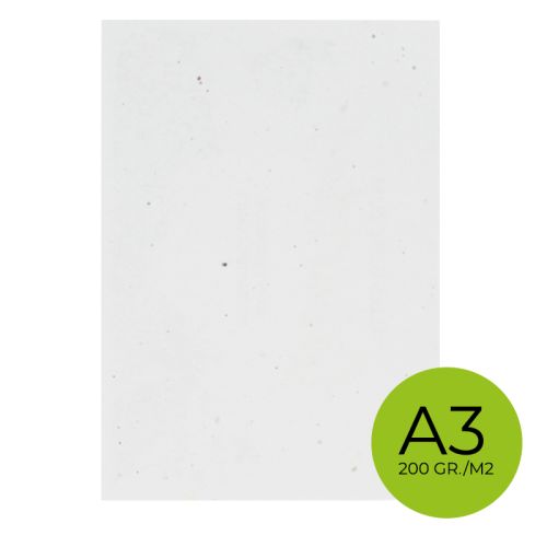 Seedpaper unprinted A3 200gsm - Image 1